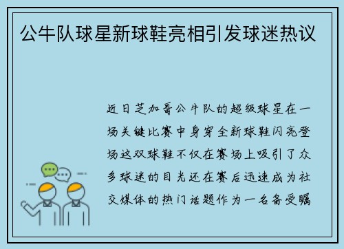 公牛队球星新球鞋亮相引发球迷热议