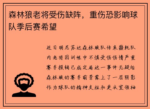 森林狼老将受伤缺阵，重伤恐影响球队季后赛希望